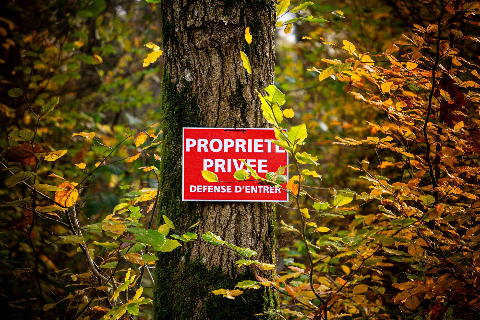 Détective privé à Tours